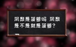 凤梨是菠萝吗 凤梨是不是就是菠萝？