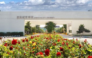 2024沈阳城市学院录取分数线：浙江最低470分