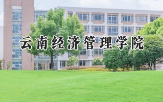 云南经济管理学院2024在内蒙古录取分数线是多少？最低160分/最高252分