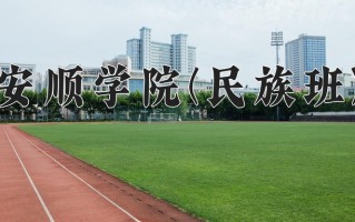 安顺学院(民族班)学费多少钱一年：3830-10000元/年（2025填报参考）