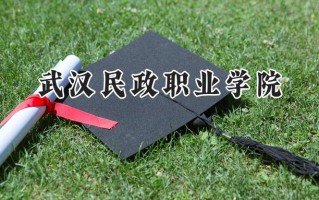 武汉民政职业学院2024在江苏录取分数线是多少？最低401分/最高454分