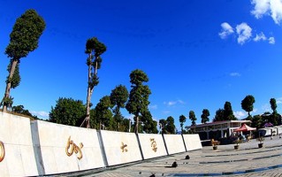 2025年陕西563分左右能报的大学名单