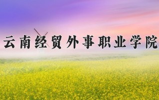 2024年云南经贸外事职业学院录取分数线，青海最低201分