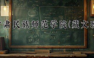 2024年甘肃民族师范学院(藏文班)录取分数线，青海最低430分
