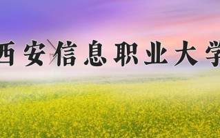 金融科技应用学费多少？附河南2024年招生的大学