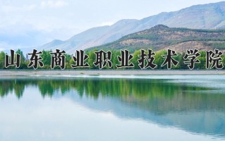 2024年山东商业职业技术学院录取分数线，青海最低250分