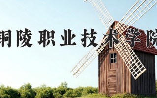 2024铜陵职业技术学院录取分数线：浙江最低445分