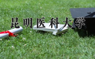 2024年昆明医科大学录取分数线，宁夏最低450分