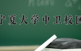 宁夏大学中卫校区学费多少钱一年：4800-54800元/年（2025填报参考）