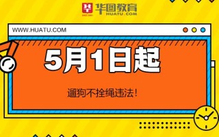 2026国考申论热点：遛狗不拴绳违法！