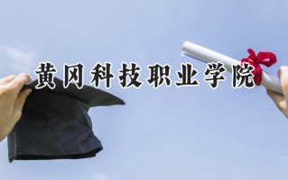 黄冈科技职业学院2024在青海录取分数线是多少？最低228分/最高290分