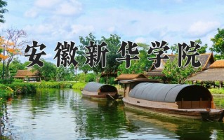 2024安徽新华学院录取分数线，重庆录取最低分427