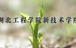 湖北工程学院新技术学院学费多少钱一年：7500-14000元/年（2025填报参考）