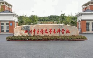 2024年四川中医药高等专科学校录取分数线，新疆最低271分