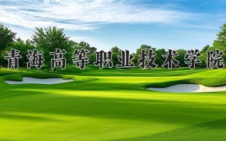 2025年青海高等职业技术学院在四川计划招生人数（附学费及专业录取分)