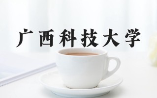 2024广西科技大学录取分数线：浙江最低484分