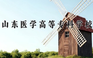 2024山东医学高等专科学校录取分数线：浙江最低534分