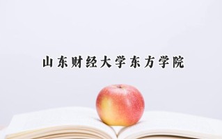 2024山东财经大学东方学院录取分数线：天津最低485分