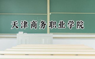 2024天津商务职业学院录取分数线：天津最低233分