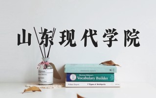 2024年山东现代学院录取分数线，新疆最低280分