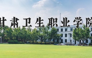 2024年甘肃卫生职业学院录取分数线，新疆最低295分