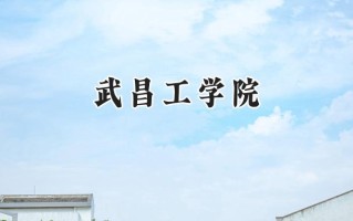 2024武昌工学院录取分数线：宁夏最低388分