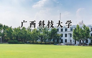 2024广西科技大学录取分数线：河南最低486分
