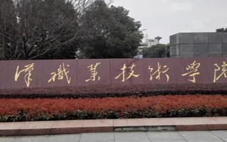 2024年武汉职业技术学院录取分数线，新疆最低292分