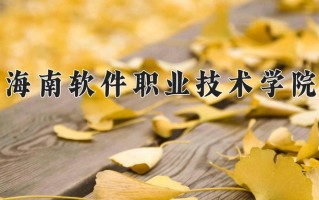 2024年海南软件职业技术学院录取分数线，青海最低275分