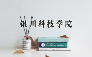2024银川科技学院录取分数线：山西最低267分