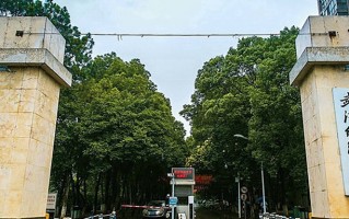 2024年武汉纺织大学录取分数线，新疆最低393分
