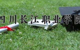 2024年四川长江职业学院录取分数线，河北最低251分