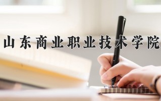 2025年山东商业职业技术学院在新疆计划招生人数（附学费及专业录取分)