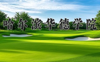 2024年哈尔滨华德学院录取分数线，宁夏最低371分