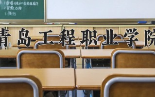 青岛工程职业学院学费多少钱一年：4800-5000元/年（2025填报参考）
