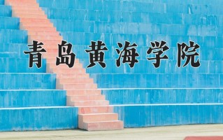 宁夏271分能上什么大学？附2025年可以报考的大学名单