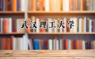 武汉理工大学2024在内蒙古录取分数线是多少？最低533分/最高616分