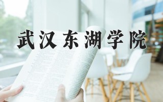 武汉东湖学院一年学费多少钱及各专业的收费标准(2025参考）