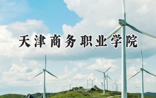 2024天津商务职业学院录取分数线：河南最低350分