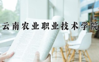 云南414分能上什么大学？附2025年可以报考的大学名单