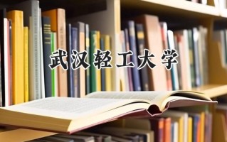 武汉轻工大学2024在江苏录取分数线是多少？最低538分/最高560分