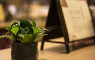 2025软科中国财经类大学排名公布，十强院校详情解读