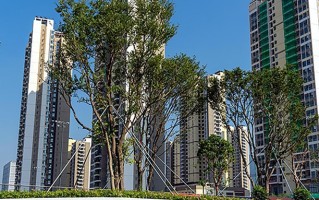 2024年深圳技术大学录取分数线，河北最低568分
