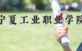2024年宁夏工业职业学院录取分数线，新疆最低142分