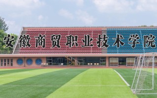 2024安徽商贸职业技术学院录取分数线：浙江最低431分