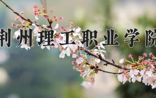 2024荆州理工职业学院录取分数线：浙江最低382分