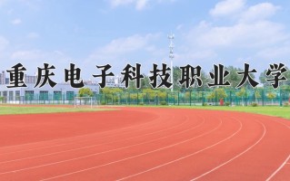 2024年重庆电子科技职业大学录取分数线，内蒙古最低336分