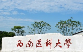 2024年西南医科大学录取分数线，新疆最低480分