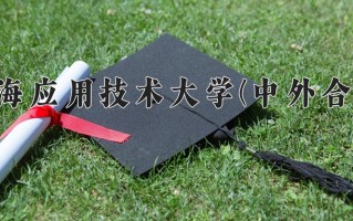 2024年上海应用技术大学(中外合作)录取分数线，内蒙古最低469分
