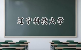 2024辽宁科技大学录取分数线：天津最低507分